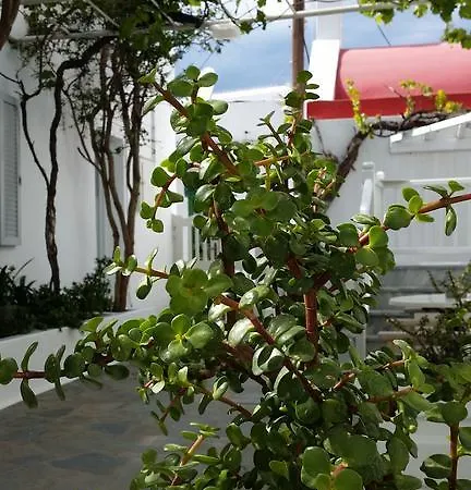 Christina Mykonos Town