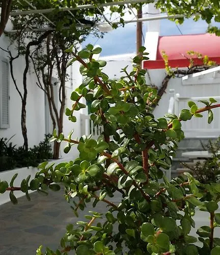 Christina Mykonos Town